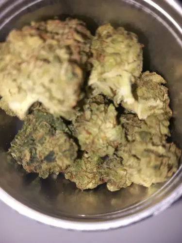 20250424 103501.webp