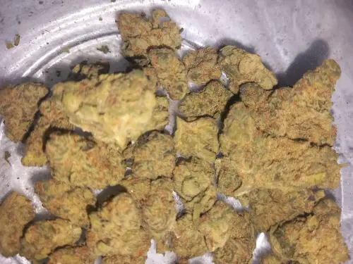 20250408 110730.webp