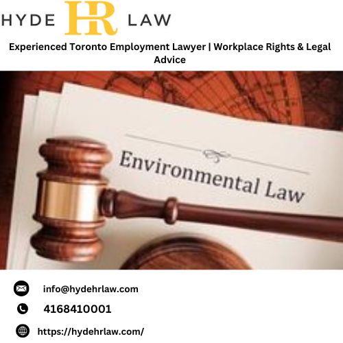 Experienced Toronto Employment Lawyer Workplace Rights & Legal Advice(1).jpg
