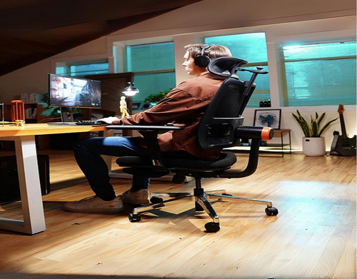 Ergonomic Chair.png