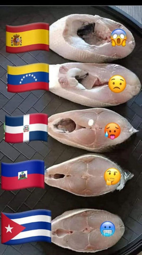 480492999 510457012108059 8564971148701038484 n.jpg