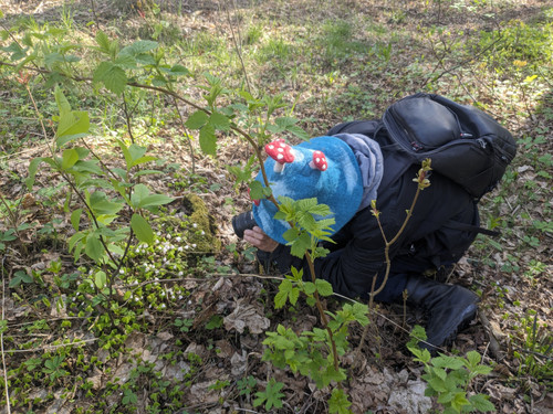 PXL 20250427 111628610.MV