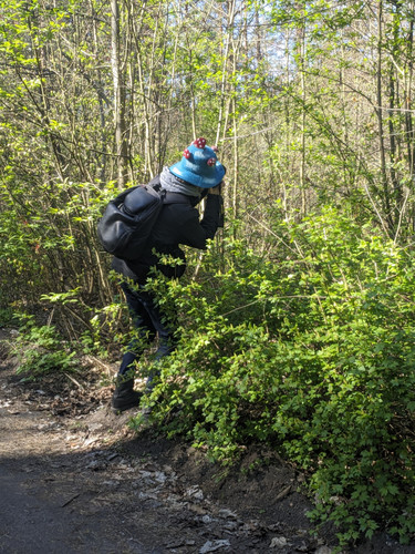 PXL 20250427 111908975.MV