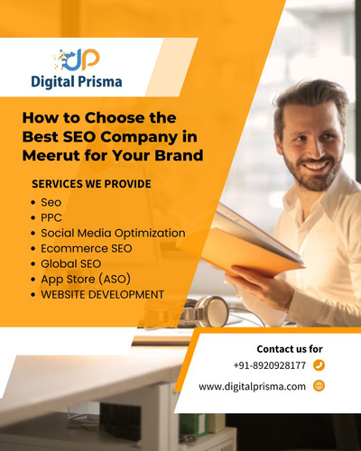 How to Choose the Best SEO Company in Meerut for Your Brand.jpg