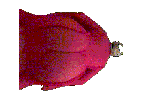 ezgif 441932e897a745.gif