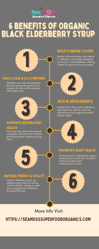  6 benefits of Organic Black Elderberry Syrup.jpg