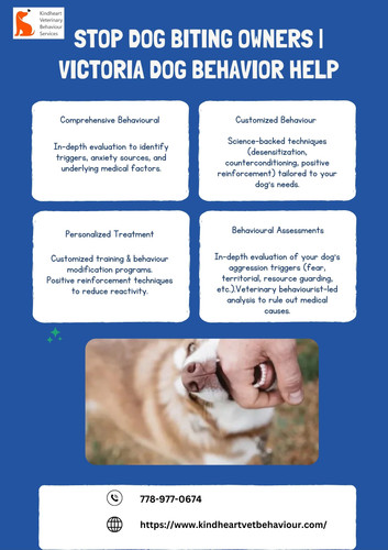 Stop Dog Biting Owners Victoria Dog Behavior Help.jpg