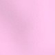 Rosa.png