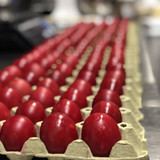 0DFC66A7 B9EB 4B4F 9DF3 DE11F0EFD3CE