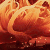 general radahn radahn.gif