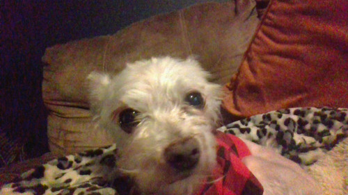 WIN 20241112 08 19 42 Pro