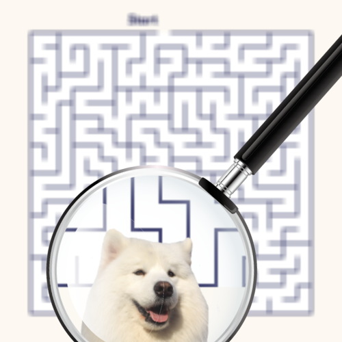 image (46).png