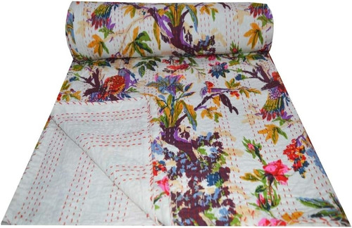 61foGdNomLL. AC SL1024 .jpg