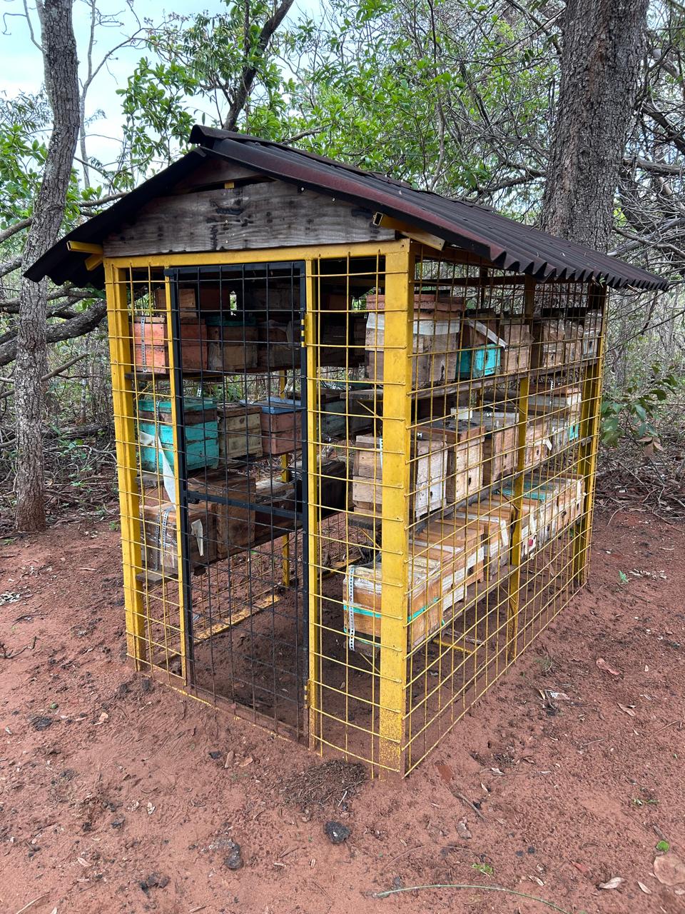 Banco Genético de Abelhas Nativas