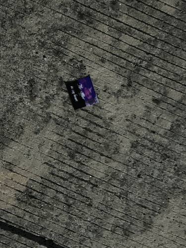 image 2025 05 01 002318857.png
