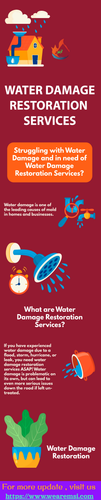 Water Damage Restoration Services MSI.png
