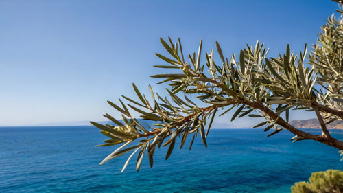 Leonardo Kino XL olive tree branches with a blue sea in the ba 0 (1).jpg