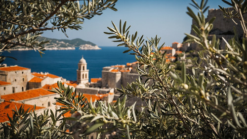Leonardo Kino XL Olive tree branches in foreground soft focus 1.jpg