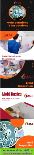 Welcome To Mold Inspection and Remediation Services.png