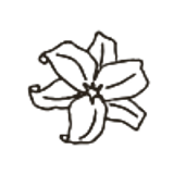 birthday flower 5
