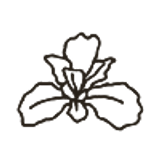 birthday flower 2
