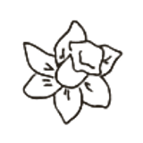birthday flower 3
