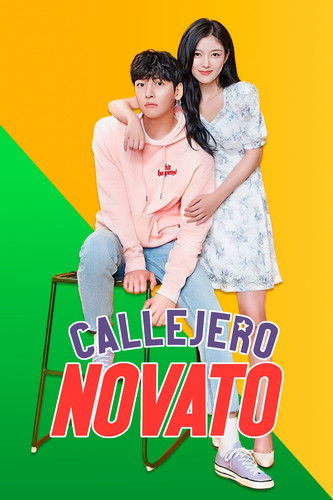 callejero novato.jpg