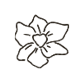 birthday flower 12
