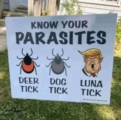 Screenshot 20250430 053812 Facebook.jpg