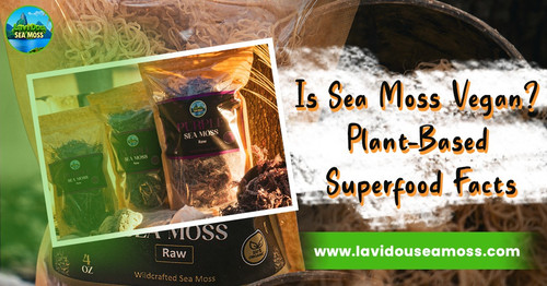 Is Sea Moss Vegan Plant-Based Superfood Facts.jpg