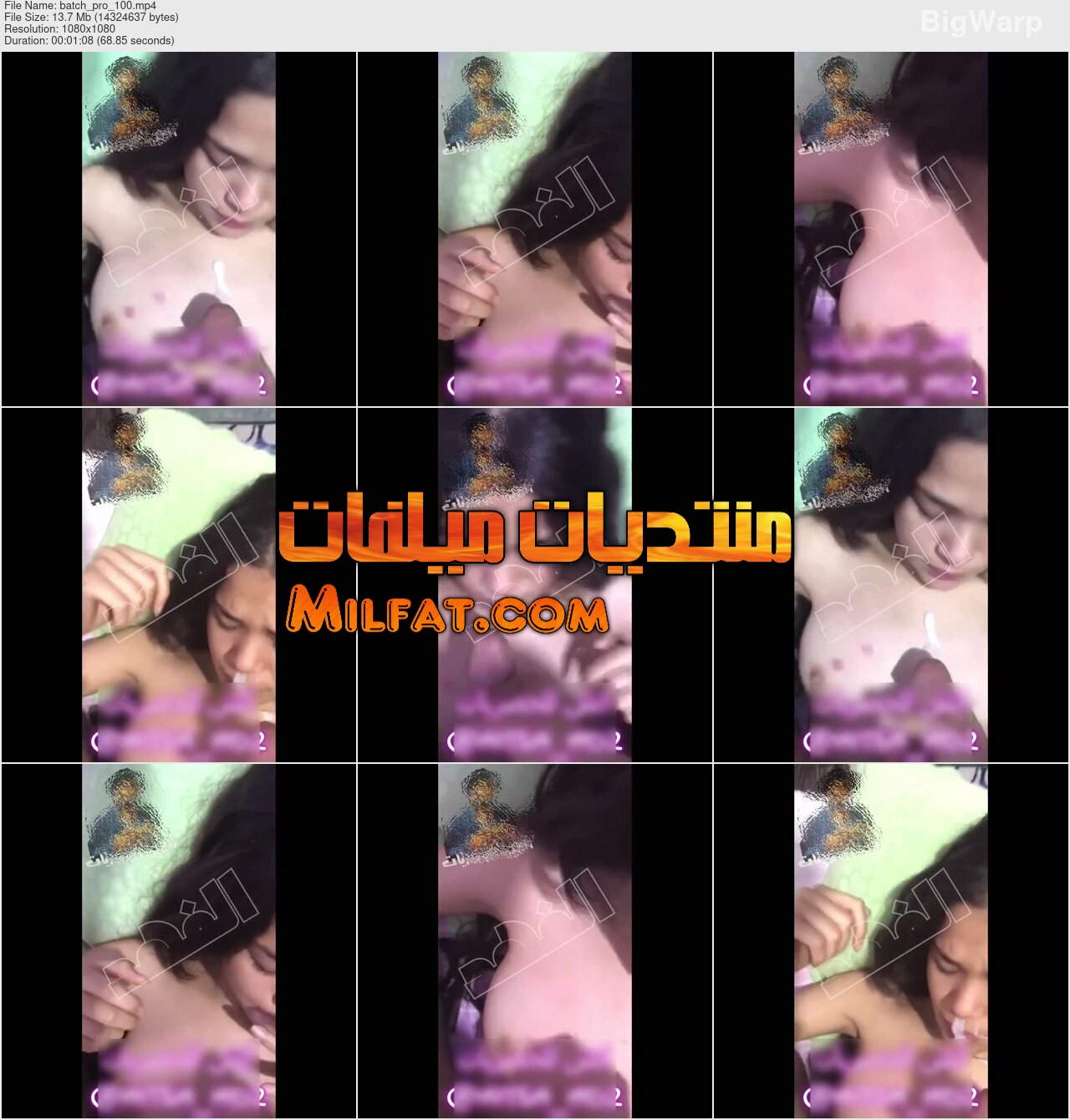 فيديو سكس نيك مصري مسرب جديد لبت بتمص زبر حبيبها وينطر لبنه علي بزازها حصري من حصريات الفهد