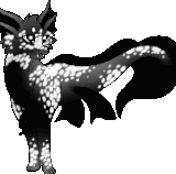 JDFish22 (1)