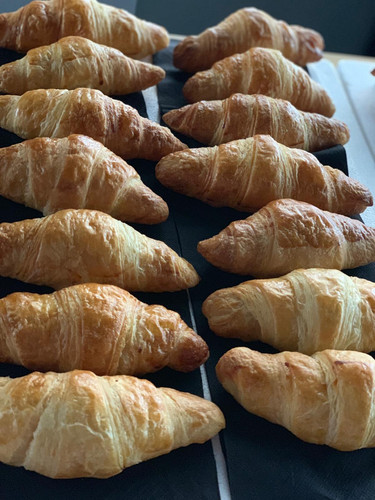 11B59656 67C7 4CB5 A555 92B5868DA25B.jpg