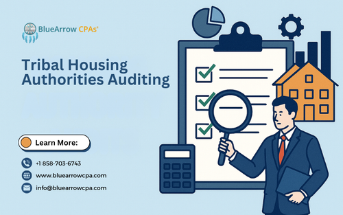 Tribal Housing Authorities Auditing.png