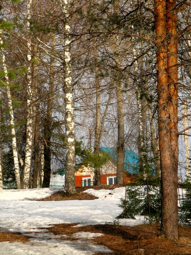 IMG 0721 1.jpg