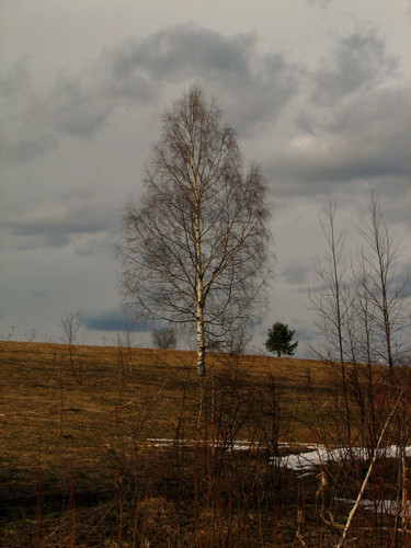 IMG 0707 1.jpg