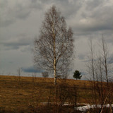 IMG 0707 1