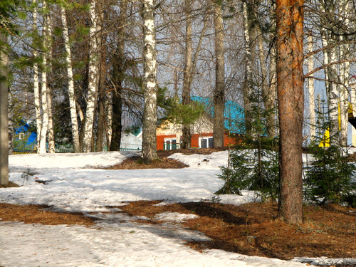 IMG 0716 1.jpg