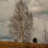 IMG 0706 1