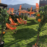 139C2CCD 09ED 4713 BC61 411A98909F3C