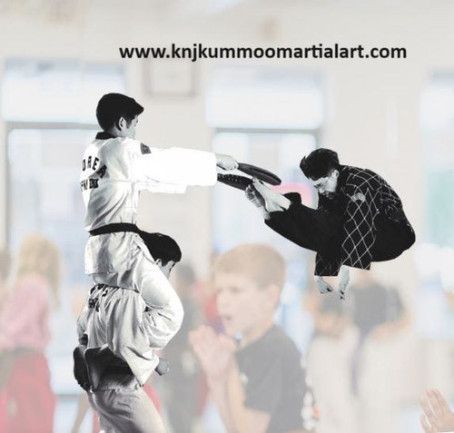 Korean martial arts taekwondo.jpg