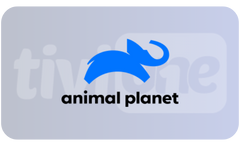 1741612906355.png