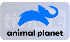 1741613245350.png