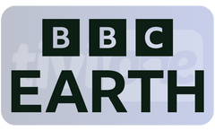 1741613215842.png