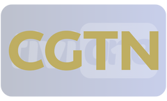 1741613217640.png