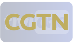 1741613033503.png