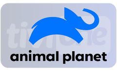 1741613180261.png