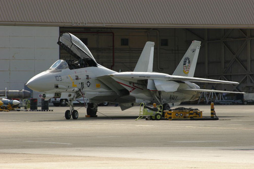 f14 history tomcatsunset 01xl.jpg