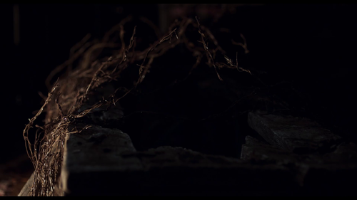 20250408 234843 785902.png