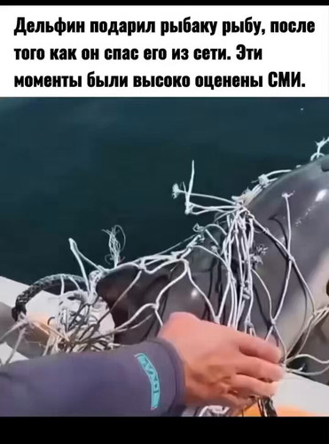 7 gEAZ DFtptbWPX.jpg